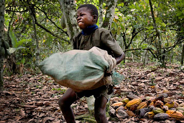 child labor cocoa PROMO