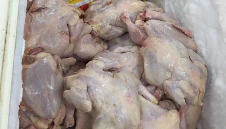 المستودع في الرياض تمكن من بيع كميات ضخمة من الدجاج الفاسد