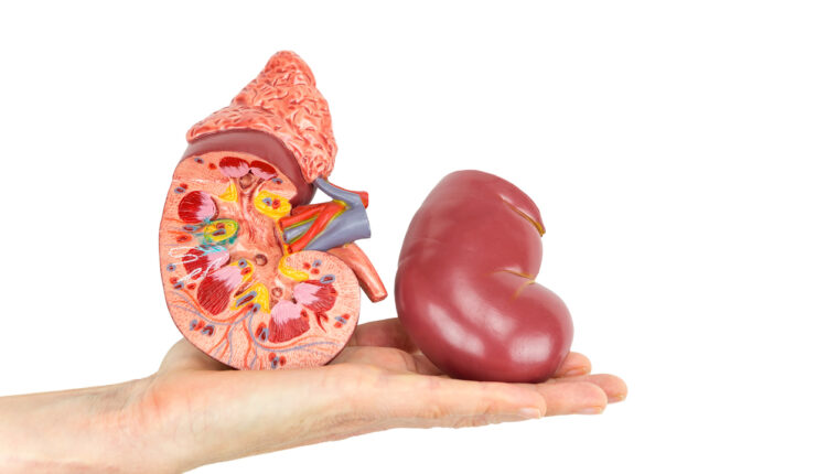 النيابة السعودية توعدت بمخالفة بنصف مليون ريال