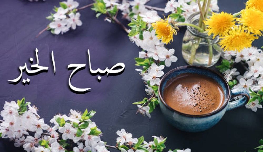 صباح الخير خليج 24