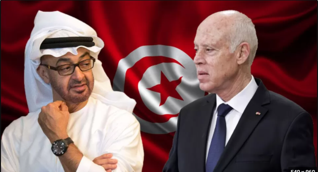 الرئيس التونسي يعزز انقلابه ويصدر قرارات جديدة مستغلا جائحة كورونا