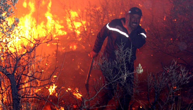 بتحريض الإمارات.. وزير داخلية الجزائر يفتح تحقيقا بالحرائق: مرتكبوها حاقدون