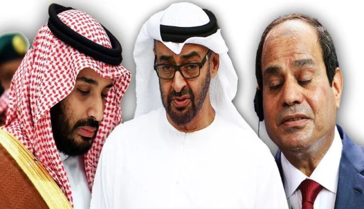 هكذا حاولت الإمارات اللعب على الحبلين بـ"خلاف" السعودية ومصر حول مخزونات البحر الأحمر