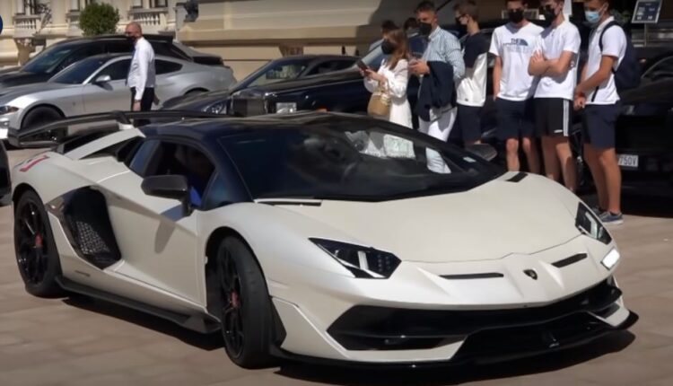 شاهد| خليجي يشتري لوحة مميزة بفرنسا أغلى 20 ضعفا من ثمن سيارته الفارهة