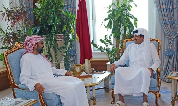 مستشار ابن زايد عن لقاء طحنون بأمير قطر: كنا بانتظار هذا اللقاء الأخوي بفارغ الصبر