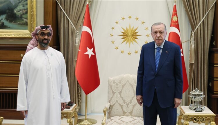 أردوغان يستقبل طحنون بن زايد ويبحثان العلاقات الثنائية وقضايا إقليمية