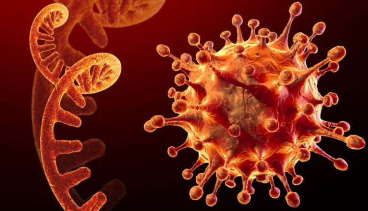 بظل تفشي متحور أوميكرون.. الإمارات تقدم 80 ألفا من لقاحات كورونا لمليشياتها باليمن