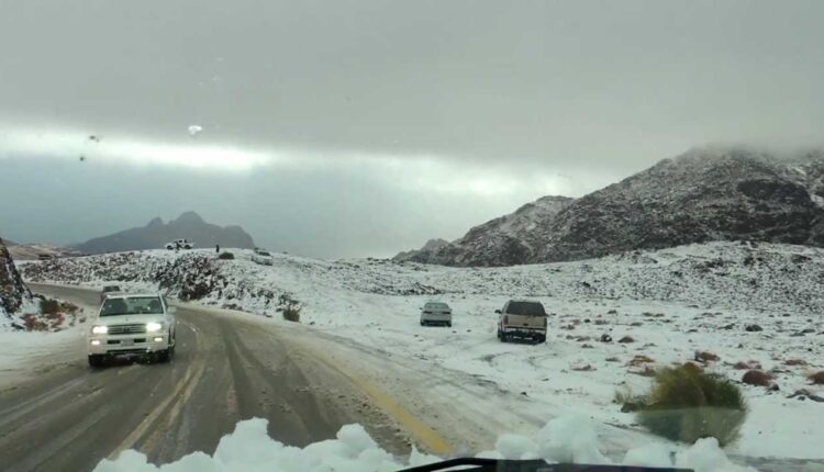 شاهد| جبل اللوز يكتسي بالثلوج.. والأهالي يسارعون للهو واللعب