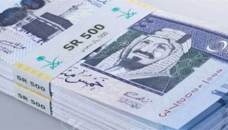 الموارد البشرية تعلن موعد إيداع الضمان الاجتماعي عن شهر يونيو
