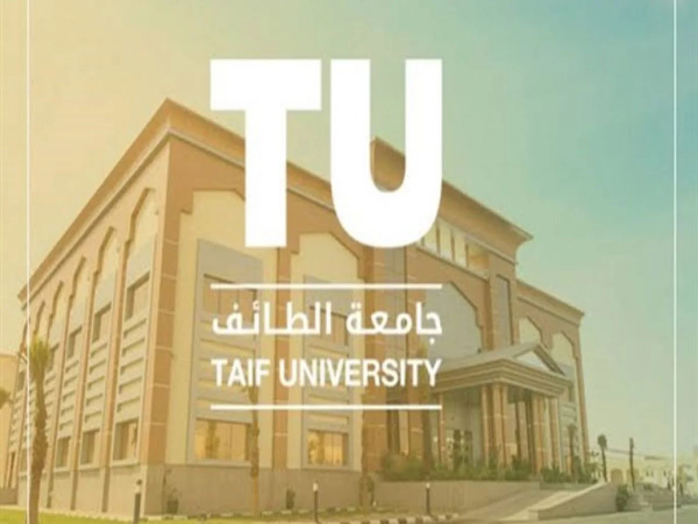رابط وتفاصيل وشروط التقديم لوظائف أكاديمية في جامعة الطائف