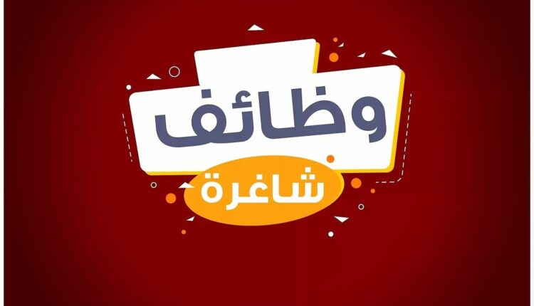 وظائف خالية للجنسين بالقطاع الخاص للثانوية فأعلى بالرياض وجازان وجدة.. إليكم رابط وخطوات التقديم