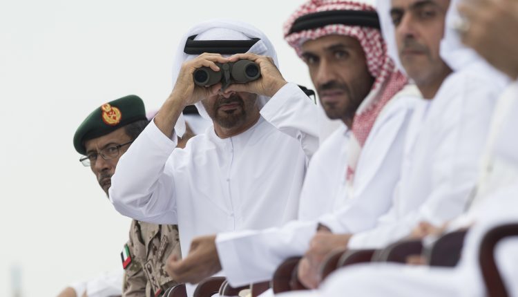 سيناتور أمريكية تدعو لمعاقبة الإمارات وقطع الأسلحة عنها